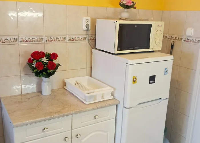 Infinity Germering דירה באלאטונפורד